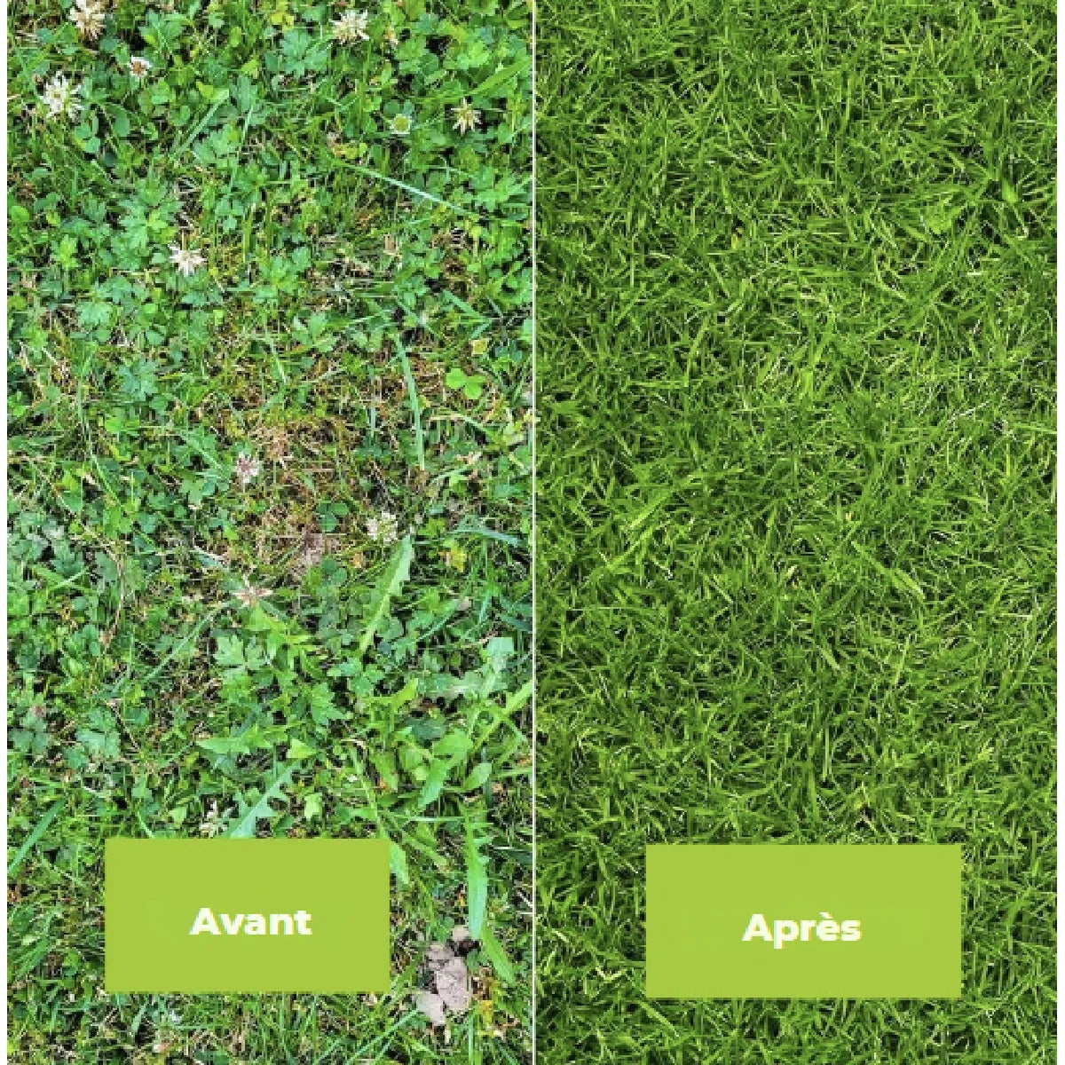 Radikal Green 5L Désherbant gazon total jardin systémique herbicide Mauvaises herbes
